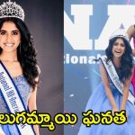 Hansika Nasanally: నేషనల్ ఆల్ అమెరికా మిస్ పోటీల్లో తెలుగమ్మాయి సత్తా..