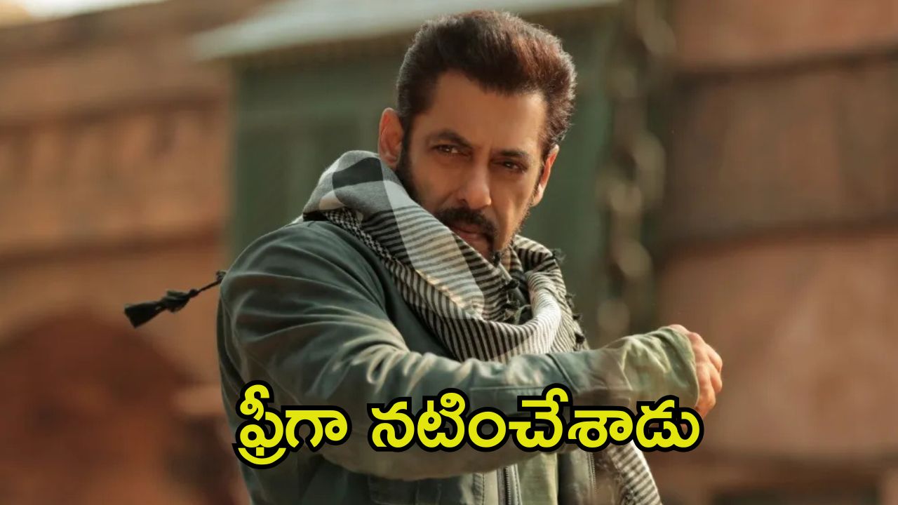 Salman Khan: ఆ సినిమాలో ఫ్రీగా నటించిన సల్మాన్ ఖాన్.. భాయ్‌ది ఎంత పెద్ద మనసు!