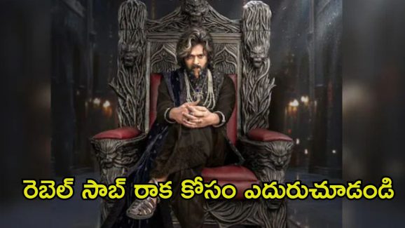Raja Saab: దయచేసి రూమర్స్ ను నమ్మొద్దు.. రాజా సాబ్ టీమ్ రిక్వెస్ట్