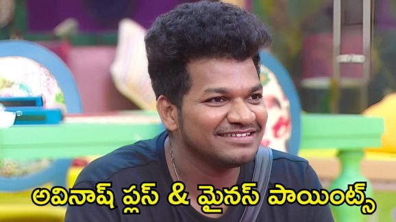 Bigg Boss 8 Analysis: అవినాష్‌కు గెలుపు శాతం ఎంతంటే.?