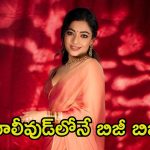 Rashmika Mandanna: అప్పుడు దీపికా.. ఇప్పుడు రష్మిక.. కన్నడ బ్యూటీ ఖాతాలో క్రేజీ బాలీవుడ్ సీక్వెల్