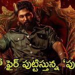 Pushpa 2 Hindi Collections: నార్త్ బాక్సాఫీస్‌పై పుష్పరాజ్ దండయాత్ర.. ఒరిజినల్ సినిమాలకు మించి కలెక్షన్స్