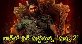 Pushpa 2 Hindi Collections: నార్త్ బాక్సాఫీస్‌పై పుష్పరాజ్ దండయాత్ర.. ఒరిజినల్ సినిమాలకు మించి కలెక్షన్స్