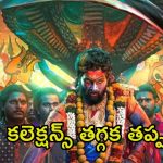 Pushpa 2: ‘పుష్ప 2’కి ఎదురుదెబ్బ.. ఇకపై అక్కడ షోలు ఉండవు