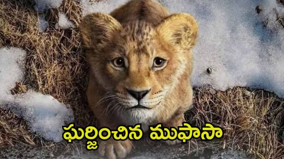 Mufasa The Lion King Collections: బాక్సాఫీస్‌పై ‘ముఫాసా’ ప్రతాపం.. ఫస్ట్ డే కలెక్షన్స్ ఎంతంటే.?