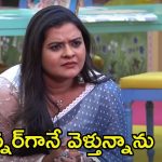 Bigg Boss 8 Telugu: ఆ ముగ్గురే నా గేమ్‌లో విలన్స్.. వెళ్లిపోతూ అసలు విషయం చెప్పిన రోహిణి
