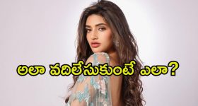 Sreeleela: శ్రీలీల చేతి నుండి మరో ఛాన్స్ మిస్.. అరెరె ఎన్నిసార్లు ఇలా.?