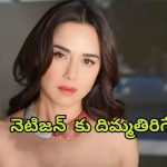 Preity Zinta : ఆ హీరోతో డేట్ చేశారా?… నెటిజన్ ప్రశ్నపై ప్రీతి జింటా అసహనం