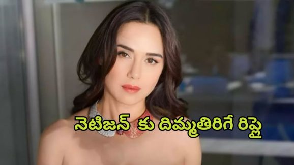 Preity Zinta : ఆ హీరోతో డేట్ చేశారా?… నెటిజన్ ప్రశ్నపై ప్రీతి జింటా అసహనం