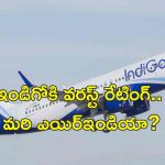 Indigo Airlines Worst : ఇండిగో.. ప్రపంచంలో అత్యంత చెత్త ఎయిర్‌లైన్స్.. సర్వేలో వెల్లడి