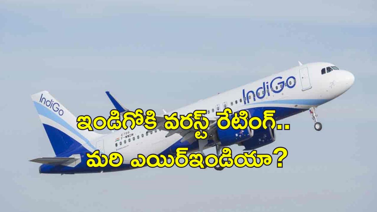 Indigo Airlines Worst : ఇండిగో.. ప్రపంచంలో అత్యంత చెత్త ఎయిర్‌లైన్స్.. సర్వేలో వెల్లడి