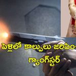 Wedding Gun firing: పెళ్లిలో అతిథులపై కాల్పులు.. ఒకరు మృతి ఇద్దరికి గాయాలు.. అమెరికాలో మాస్టర్‌మైండ్