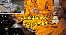 Vastu Tips: ఈ 4 వస్తువులను మీ ఇంట్లో దక్షిణ దిశలో ఉంచితే.. డబ్బుకు లోటుండదు