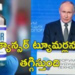 Russia Cancer Vaccine : క్యాన్సర్‌కు వ్యాక్సిన్.. ఉచితంగా సరఫరా చేస్తామన్న రష్యా!