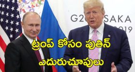 Putin Trump Talks: ట్రంప్ తో శాంతి చర్చలకు మేము రెడీ.. ఉక్రెయిన్ యద్ధం సంధిపై పుతిన్