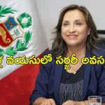 Peru President Nose: ప్లాస్టిక్ సర్జరీ చేసుకున్న ప్రెసిడెంట్.. రాజీనామా డిమాండ్ చేసిన ఎంపీలు