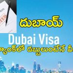 UAE Visa Indians: దుబాయ్ వీసా దొరకడం ఇక చాలా కష్టం.. భారతీయుల అప్లికేషన్లు భారీ సంఖ్యలో తిరస్కరణ