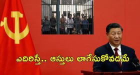 Pushpa 3 Update: 'పుష్ప' గాడితో సూపర్ స్టార్.. పాత్ర ఏదంటే..?