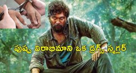 Pushpa movie Drug smuggler : పుష్ప 2 థియేటర్‌లో డ్రగ్స్ స్మగ్లర్.. సినీ ఫక్కీలో చేజ్ చేసిన పోలీసులు
