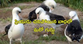Manchu Family: తండ్రీకొడుకుల గొడవ.. మధ్యలో తల దూర్చిన ఈ వినయ్ ఎవరంటే..?