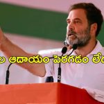 Rahul Gandhi Inflation: దేశంలో బడా వ్యాపారులే లాభపడుతున్నారు.. పేదలు కాదు.. కేంద్రంపై రాహుల్ ఫైర్