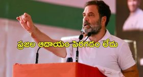 Rahul Gandhi Inflation: దేశంలో బడా వ్యాపారులే లాభపడుతున్నారు.. పేదలు కాదు.. కేంద్రంపై రాహుల్ ఫైర్