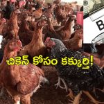 Bank Manager Farmer Chicken : రూ.39000 నాటుకోడి మాంసం తిన్న బ్యాంక్ మేనేజర్.. మోసం చేశాడని రైతు ఫిర్యాదు