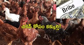 Bank Manager Farmer Chicken : రూ.39000 నాటుకోడి మాంసం తిన్న బ్యాంక్ మేనేజర్.. మోసం చేశాడని రైతు ఫిర్యాదు