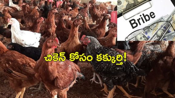 Bank Manager Farmer Chicken : రూ.39000 నాటుకోడి మాంసం తిన్న బ్యాంక్ మేనేజర్.. మోసం చేశాడని రైతు ఫిర్యాదు