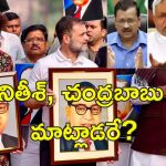 Kejriwal Ambedkar Row: అంబేడ్కర్‌కు అమిత్ షా అవమానం.. మౌనంగా నితీశ్ కుమార్, చంద్రబాబు?
