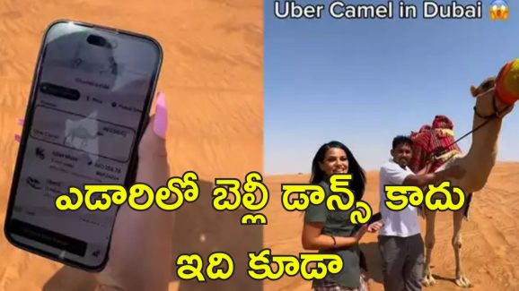 Uber Desert Ride Camel: ఎడారిలో చిక్కుకున్నారా?.. భయమెందుకు స్పెషల్ ఊబర్ సవారీ మీ కోసం!