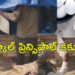 Principal Steals Midday meal: స్కూల్ పిల్లల మధ్యాహ్న భోజనం.. కోడిగుడ్లు దొంగతనం చేసిన ప్రిన్సిపాల్