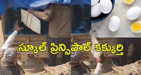 Mannara Chopra: మన్నారా మెరుపులు వెనుక