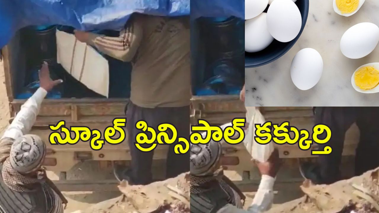 Principal Steals Midday meal: స్కూల్ పిల్లల మధ్యాహ్న భోజనం.. కోడిగుడ్లు దొంగతనం చేసిన ప్రిన్సిపాల్