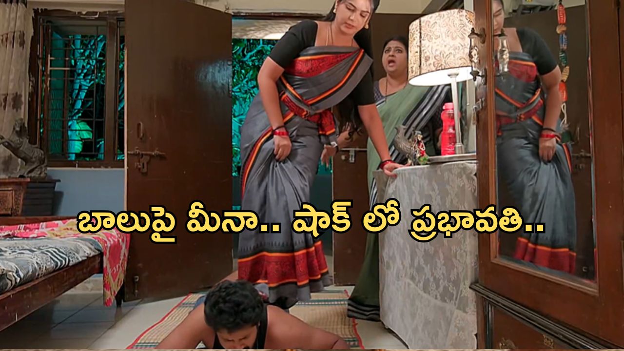 Gundeninda Gudigantalu Today Episode : బాలుకు చుక్కలు చూపించిన మీనా.. మీనాను కలిసిన శృతి..