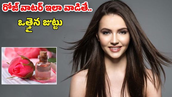 Rose Water For Hair: రోజ్ వాటర్ ఇలా వాడారంటే.. జుట్టు వద్దన్నా పెరుగుతుంది