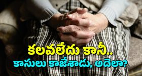 BJP vs AAP: కేజ్రీవాల్, ఆప్ సర్కారుపై బీజేపీ ఛార్జిషీట్.. అందులో ఉన్నది ఇదే!
