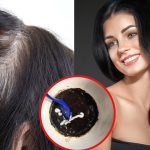 Homemade Hair Colour: ఇంట్లోనే ఇలా హెయిర్ కలర్ తయారు చేసుకుని వాడితే.. తెల్ల జుట్టు క్షణాల్లోనే మాయం