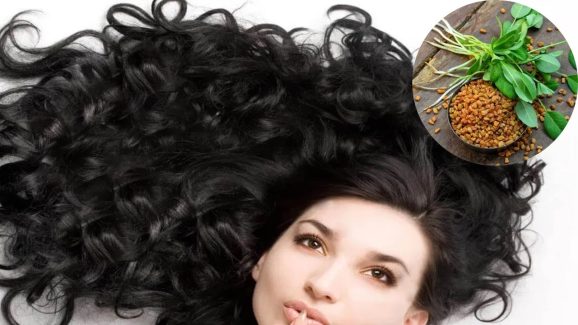 Tips For Black Hair: ఎంతటి తెల్లజుట్టు అయినా.. ఇలా చేస్తే క్షణాల్లోనే నల్లగా మారడం ఖాయం