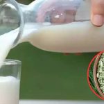 Fennel Milk: పాలల్లో సోపు కలిపి తాగితే.. మతిపోయే లాభాలు !