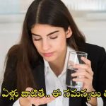 Health Problems: 30 ఏళ్లు దాటాయా ? ఈ సమస్యలు తప్పవు