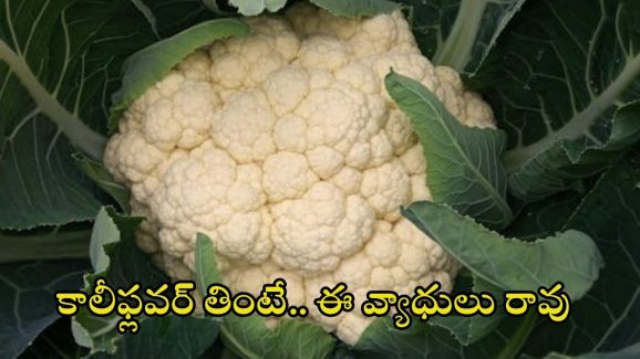 Cauliflower Benefits: కాలీఫ్లవర్ తింటే.. ఈ వ్యాధులు రమ్మన్నా రావు