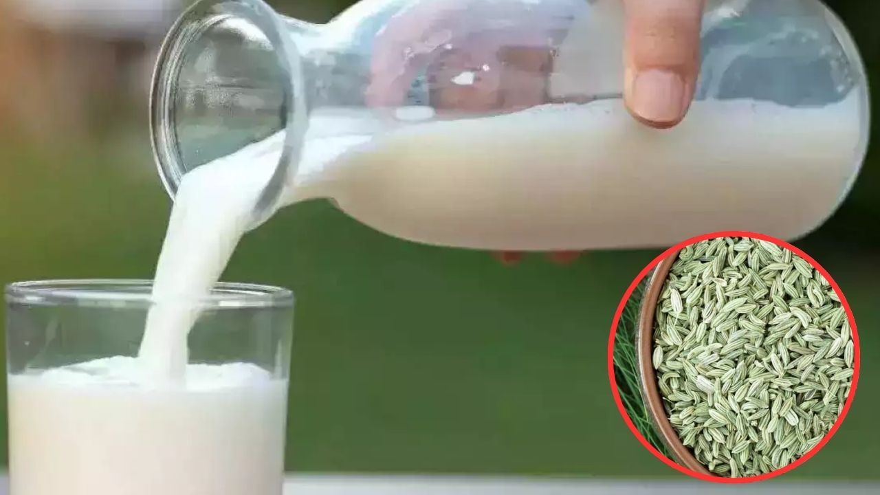Fennel Milk: పాలల్లో సోపు కలిపి తాగితే.. మతిపోయే లాభాలు !