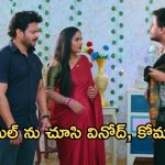 Intinti Ramayanam Today Episode : పల్లవి ప్లాన్ అవనికి తెలిసిపోయింది.. పల్లవి గురించి స్వామిజీ చెప్పేస్తాడా?