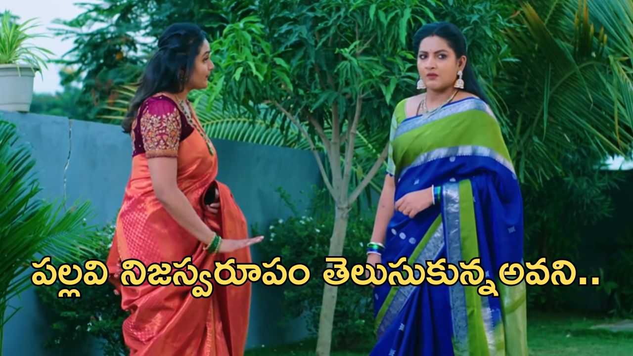 Intinti Ramayanam Today Episode : పల్లవి ప్లాన్ తెలుసుకున్న అవని.. అక్షయ్ కు చుక్కలు చూపించిన అవని..