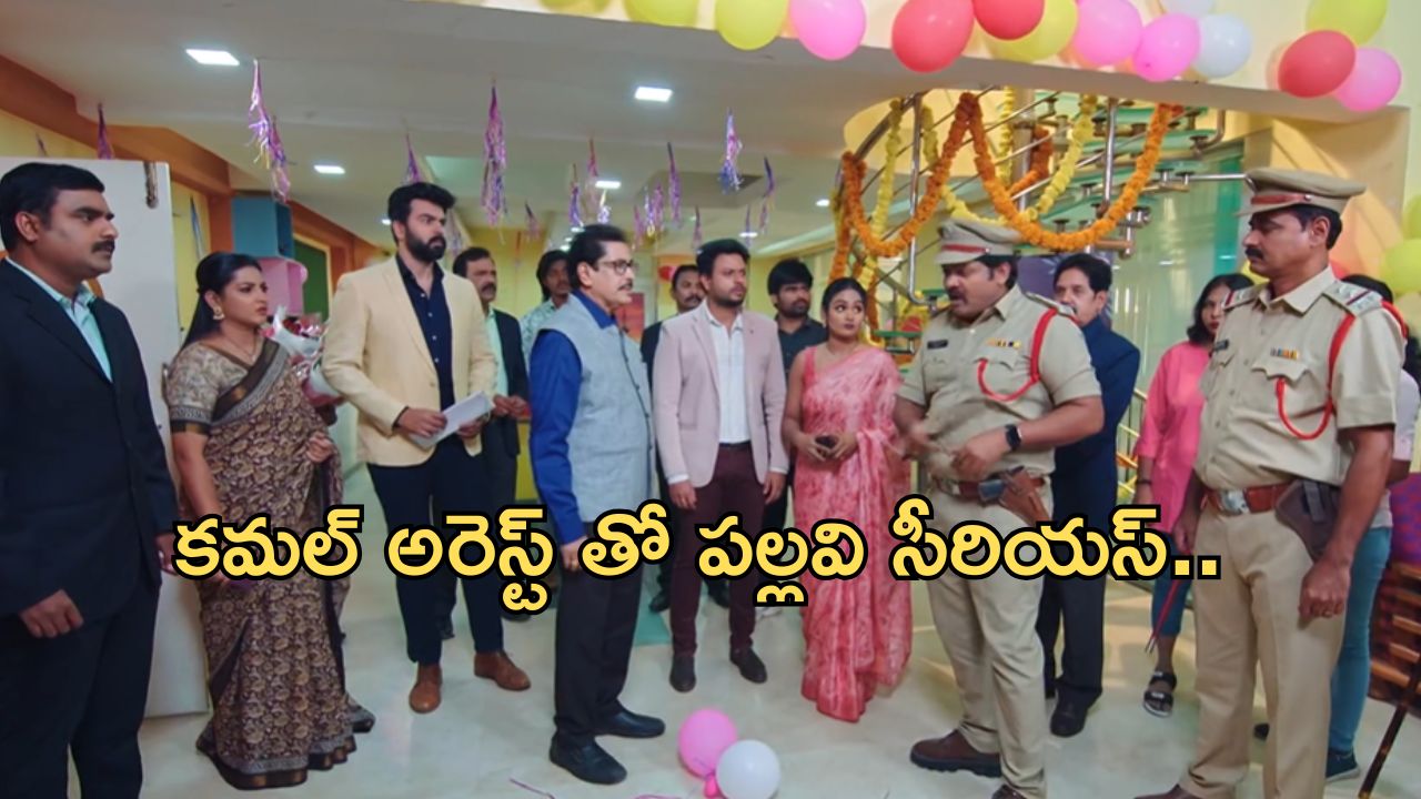 Intinti Ramayanam Today Episode : పల్లవి ప్లాన్ రివర్స్.. ఆఫీసులో డ్రగ్స్ ఉన్నట్లు పోలీసులకు ఇన్ఫర్మేషన్..