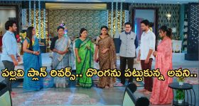Intinti Ramayanam Today Episode : అక్షయ్ పై డ్రగ్స్ కేసు.. అసలు దొంగను పట్టుకున్న అవని..
