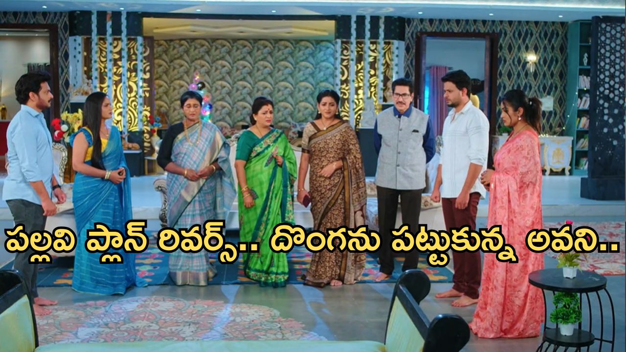 Intinti Ramayanam Today Episode : అక్షయ్ పై డ్రగ్స్ కేసు.. అసలు దొంగను పట్టుకున్న అవని..