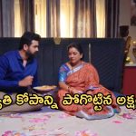 Intinti Ramayanam Today Episode : అవనిపై కోపాన్ని పెంచుకున్న పార్వతి.. తల్లి పై అక్షయ్ ప్రేమ..