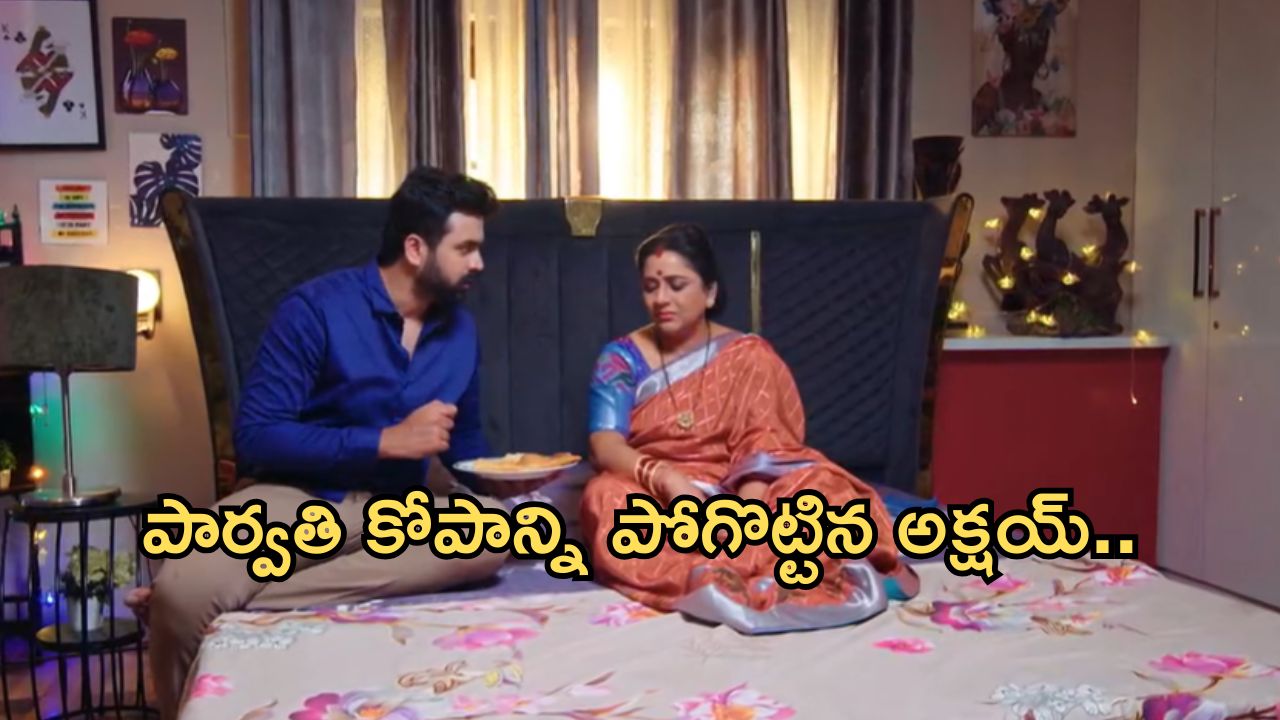 Intinti Ramayanam Today Episode : అవనిపై కోపాన్ని పెంచుకున్న పార్వతి.. తల్లి పై అక్షయ్ ప్రేమ..